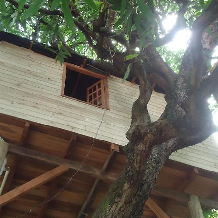 Casa Na Arvore Salvador Exterior photo