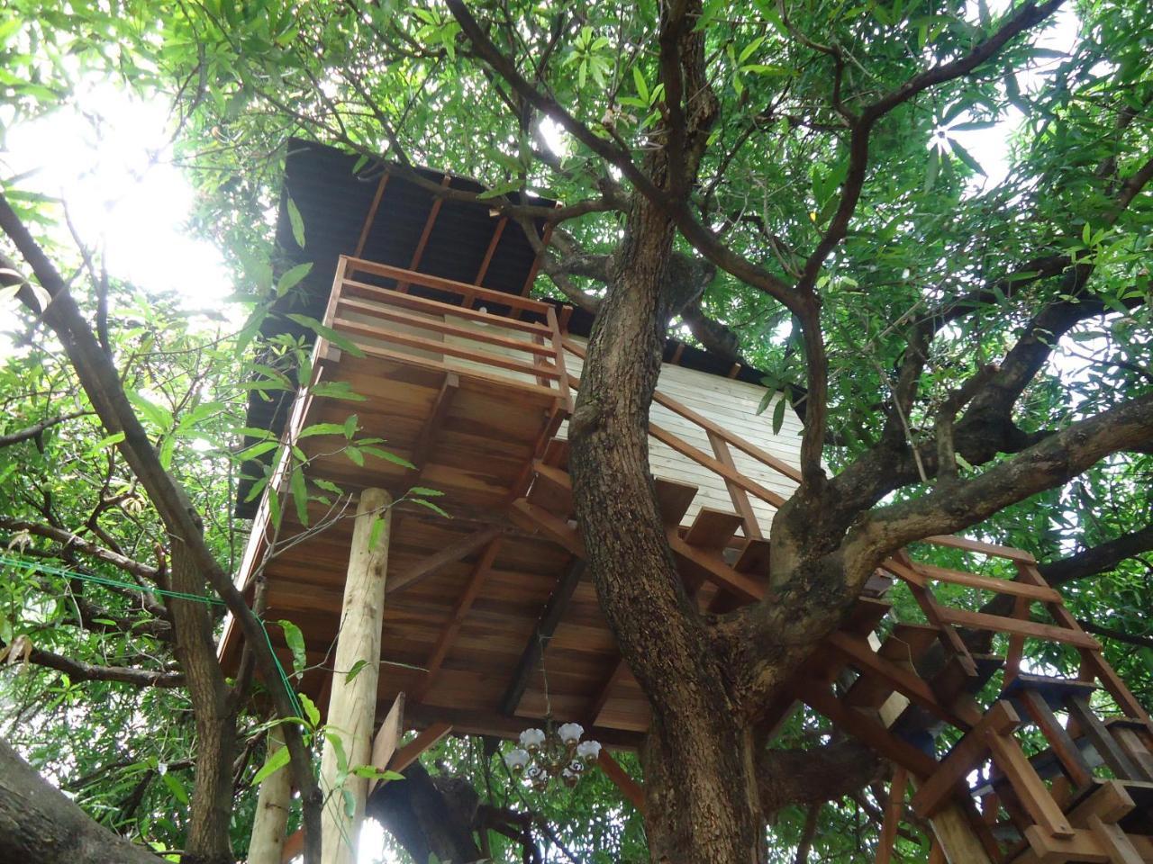 Casa Na Arvore Salvador Exterior photo