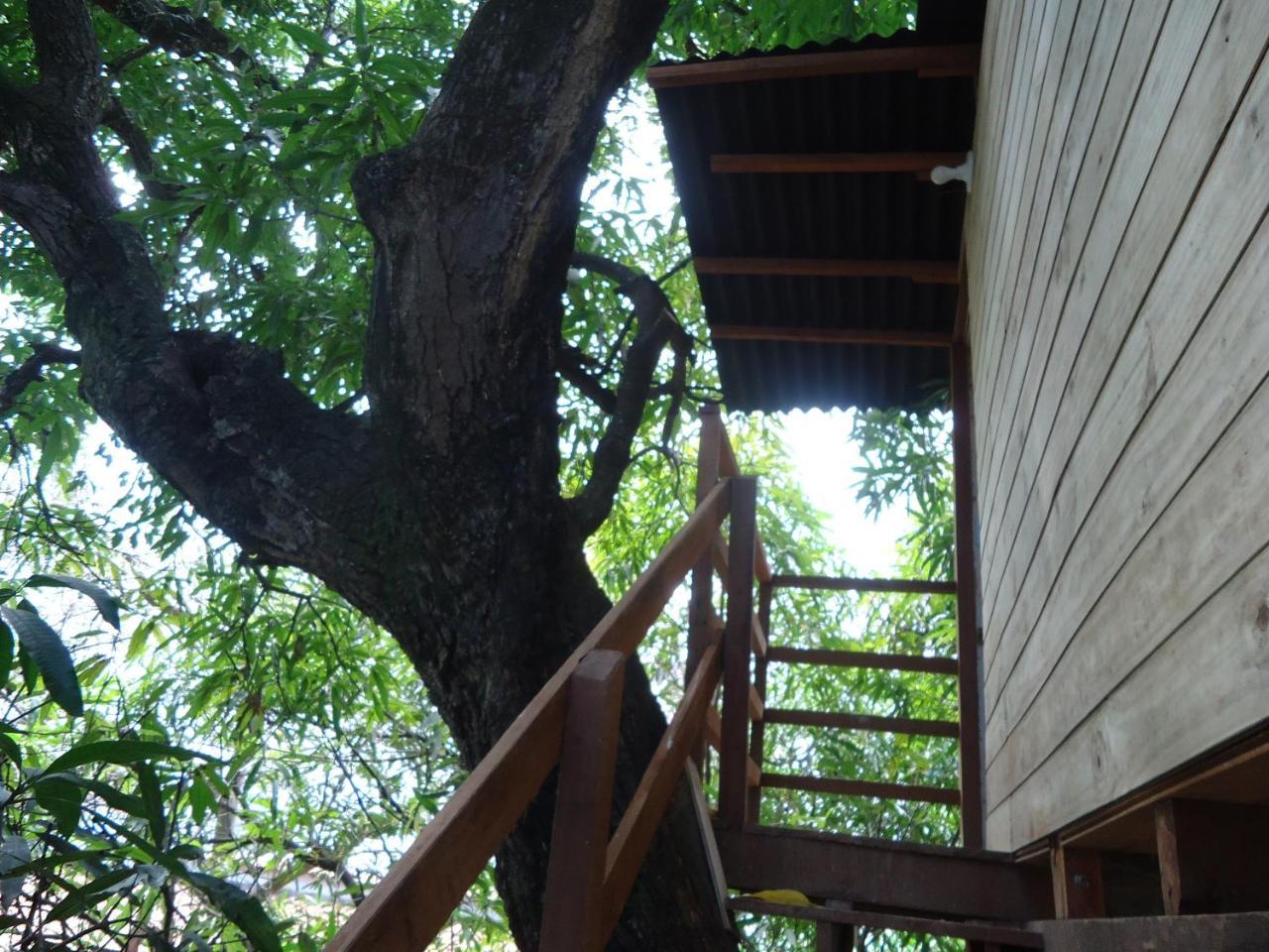 Casa Na Arvore Salvador Exterior photo